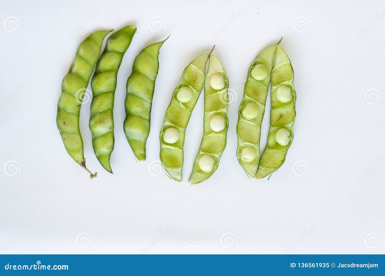 Pigeon Peas Pods with Seeds on White Surface Stock Illustration ...