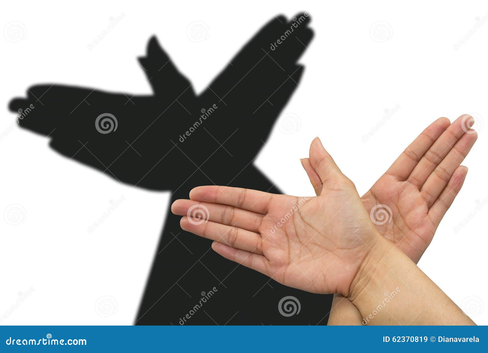 pigeon shadow hand