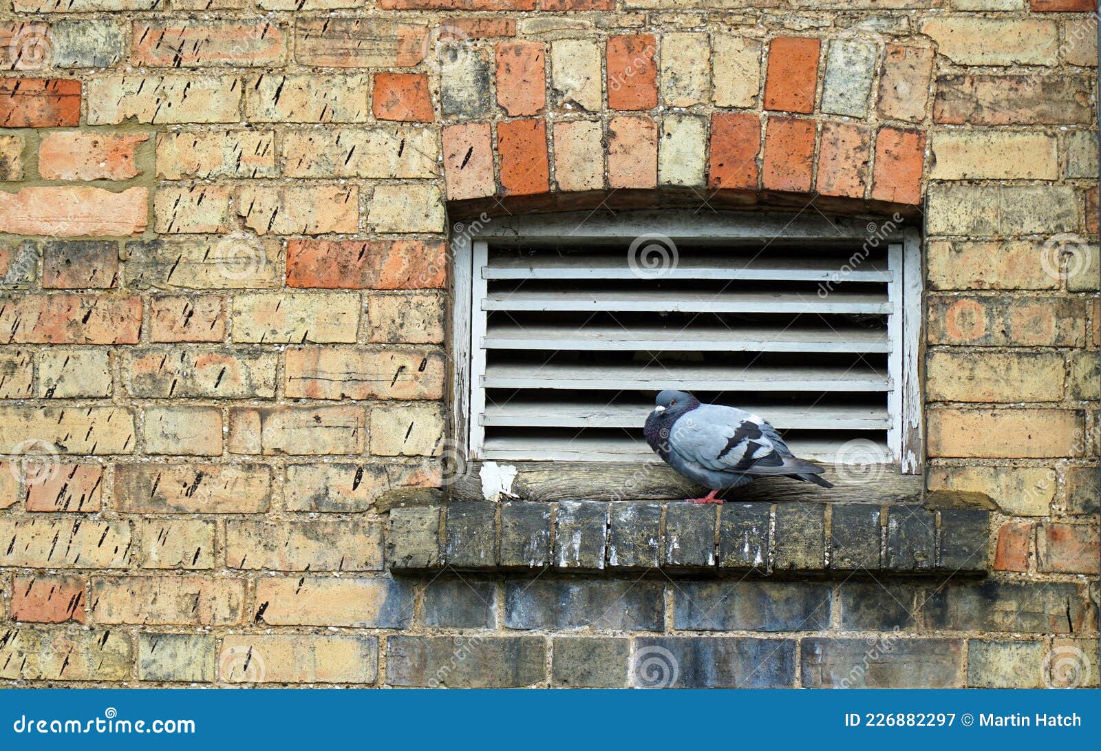 32,766 White Window Red Brick Wall Images, Stock Photos, 3D objects, &  Vectors