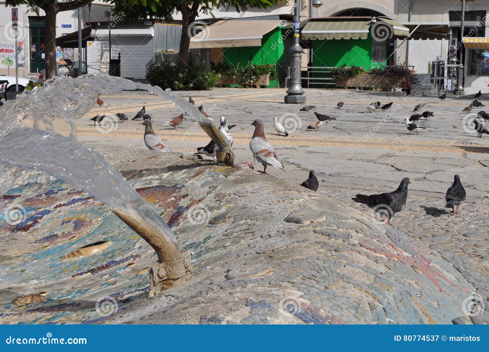 Pigeons in Cyprus stock image. Image of beak, flying 80774537