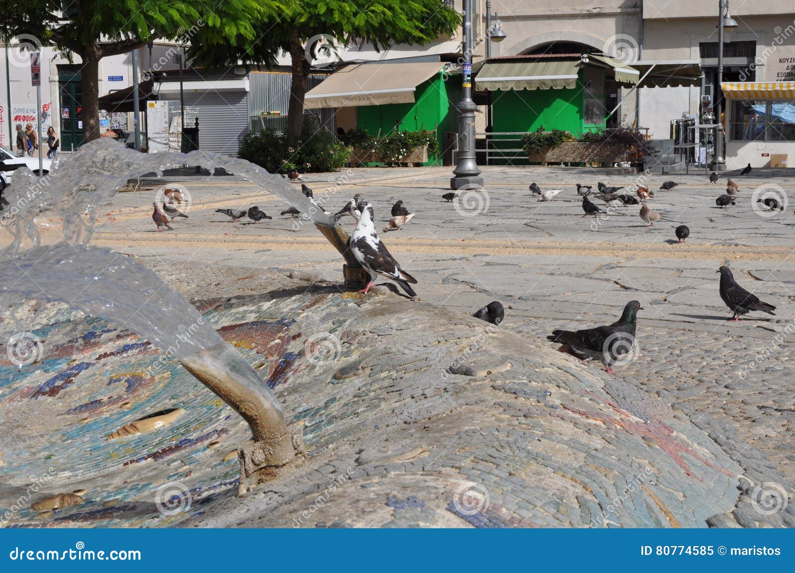 Pigeons in Cyprus stock image. Image of animal, birds 80774585