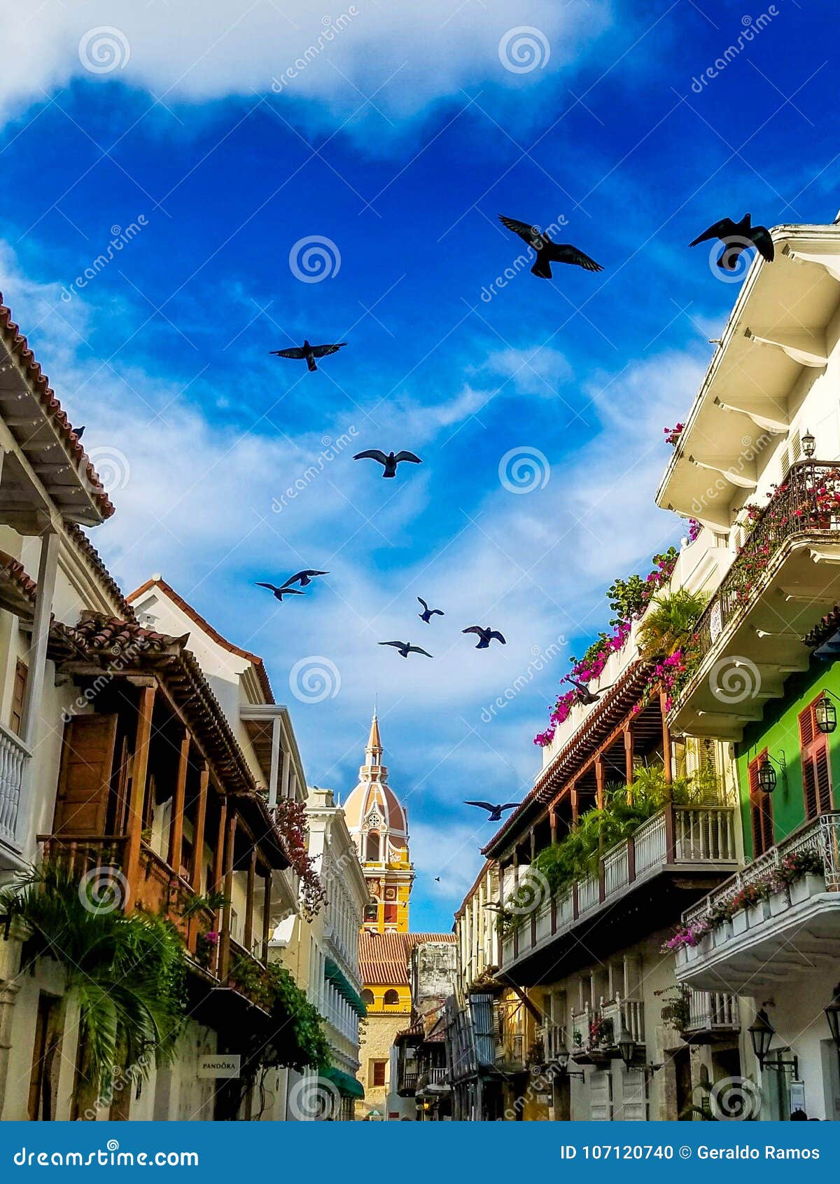 Pigeons Flying in the Walled City of Cartagena Editorial Image - Image of  southamerica, black: 107120740