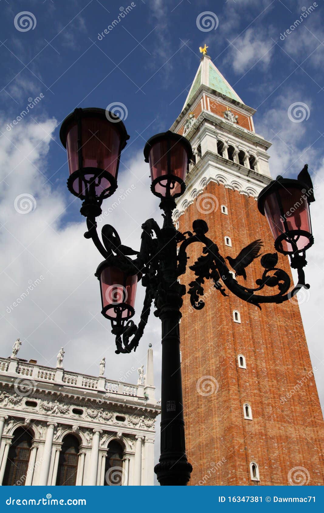 pigeons lampost biblioteca campanile- venice italy