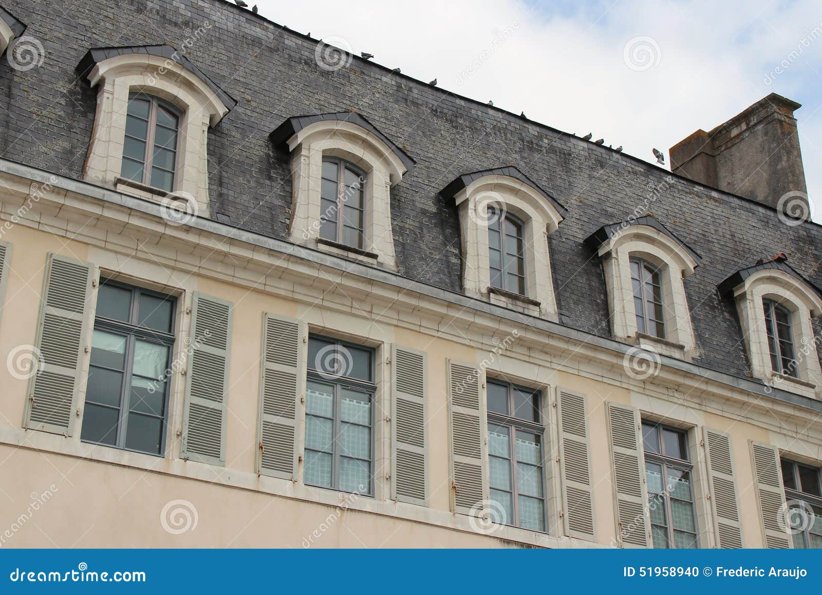 pigeons are standing on the ridgepole of a building in quimperle (france)