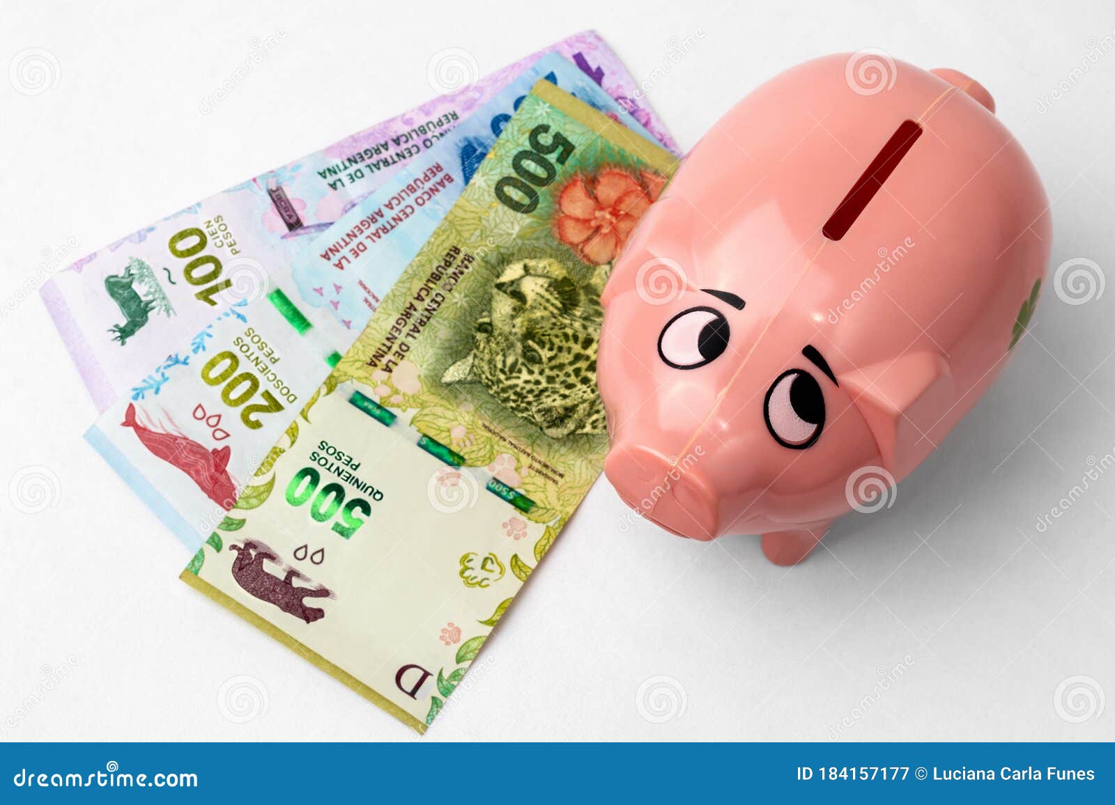 piggy bank next to argentine pesos paper money on white background. chanchito alcancÃÂ­a junto a billetes de pesos argentinos sobre