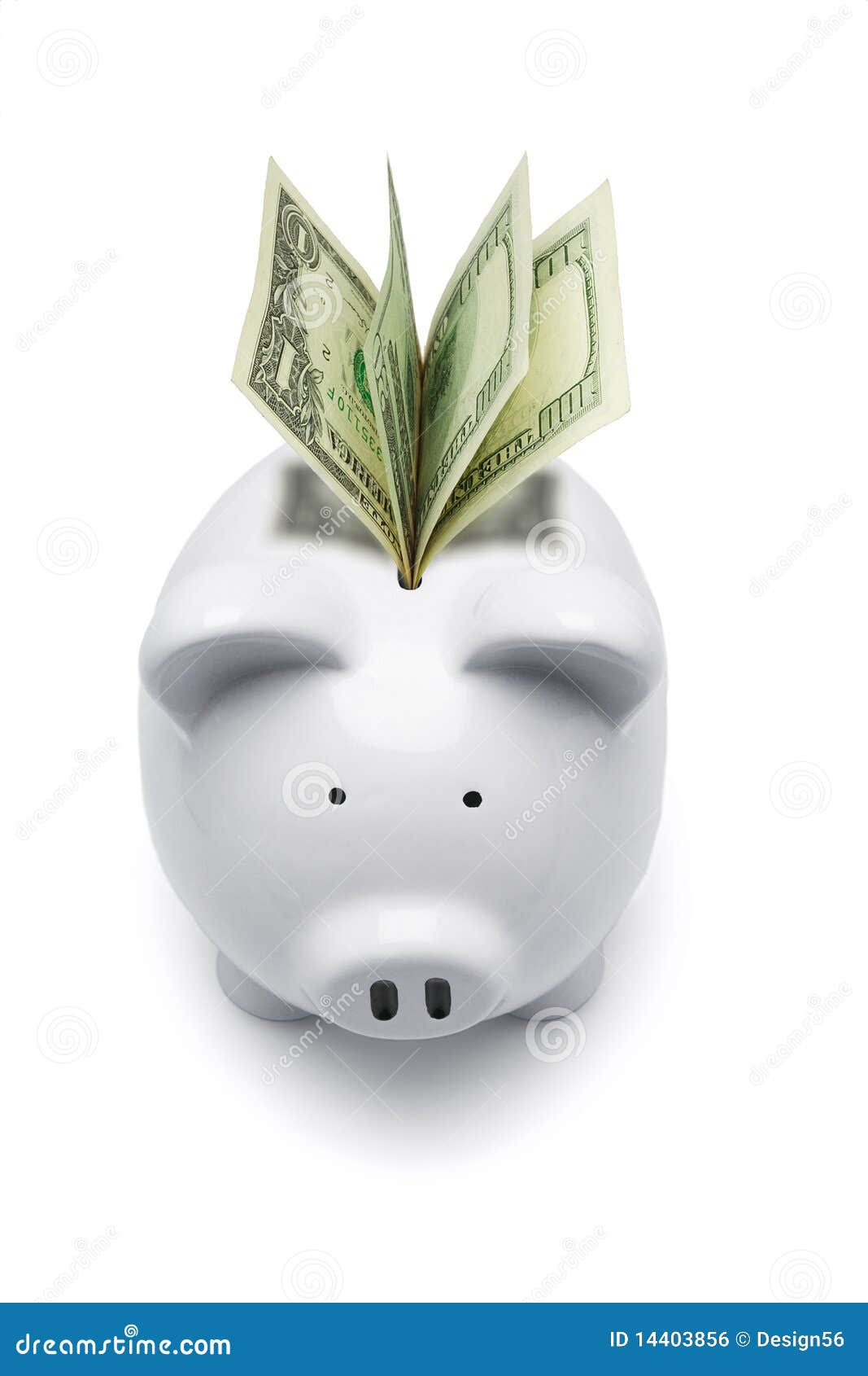 Piggy bank and US dollars stock photo. Image of isolated 14403856