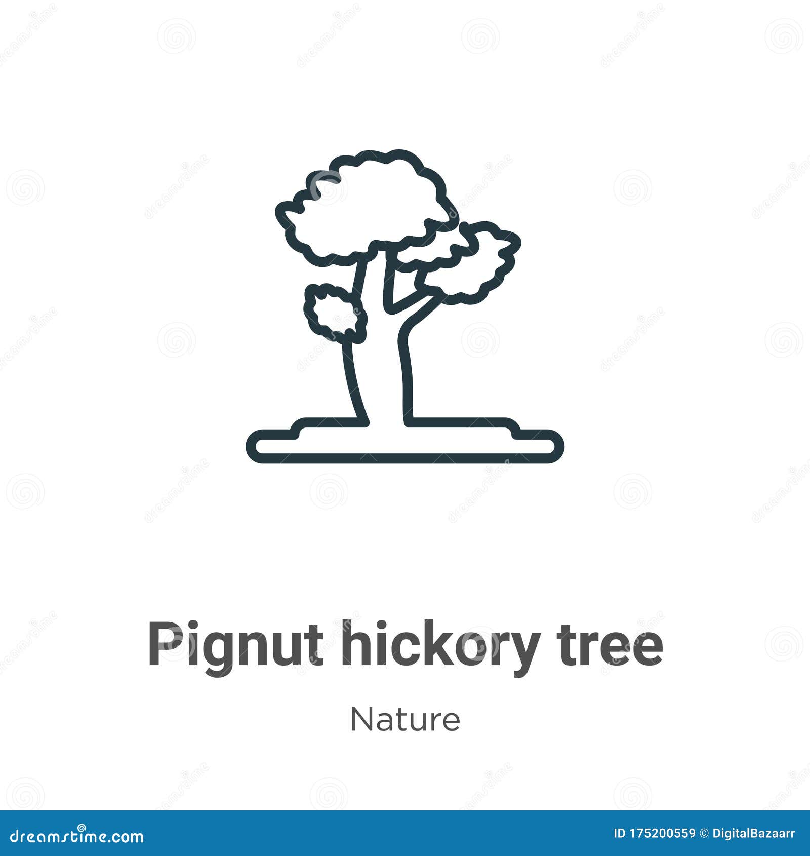 pignut hickory tree outline  icon. thin line black pignut hickory tree icon, flat  simple   from