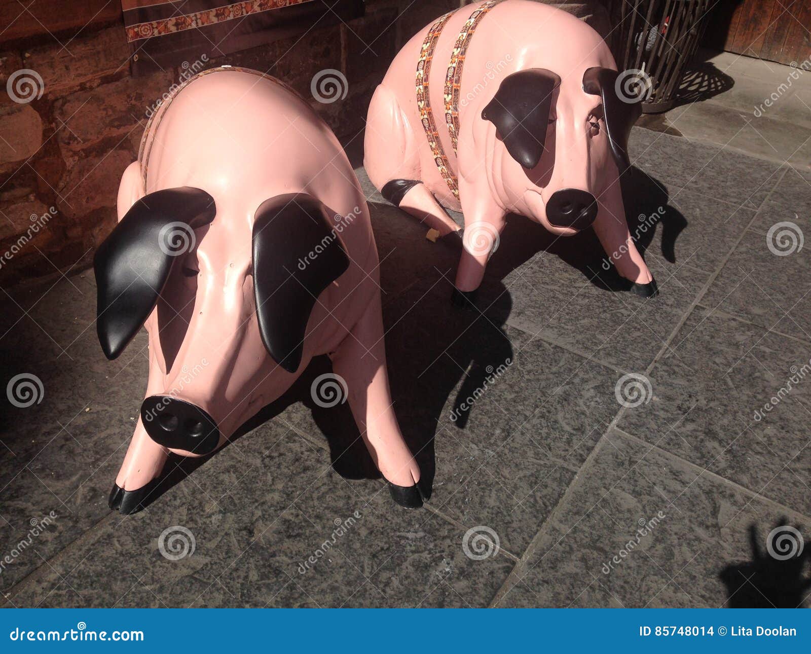 pigs on royal mile edinburgh