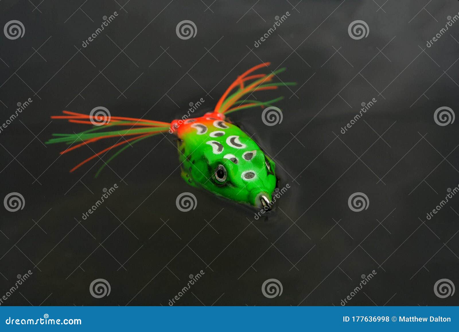 A Pike/bass Frog Fishing Lure. Stock Photo - Image of tackle