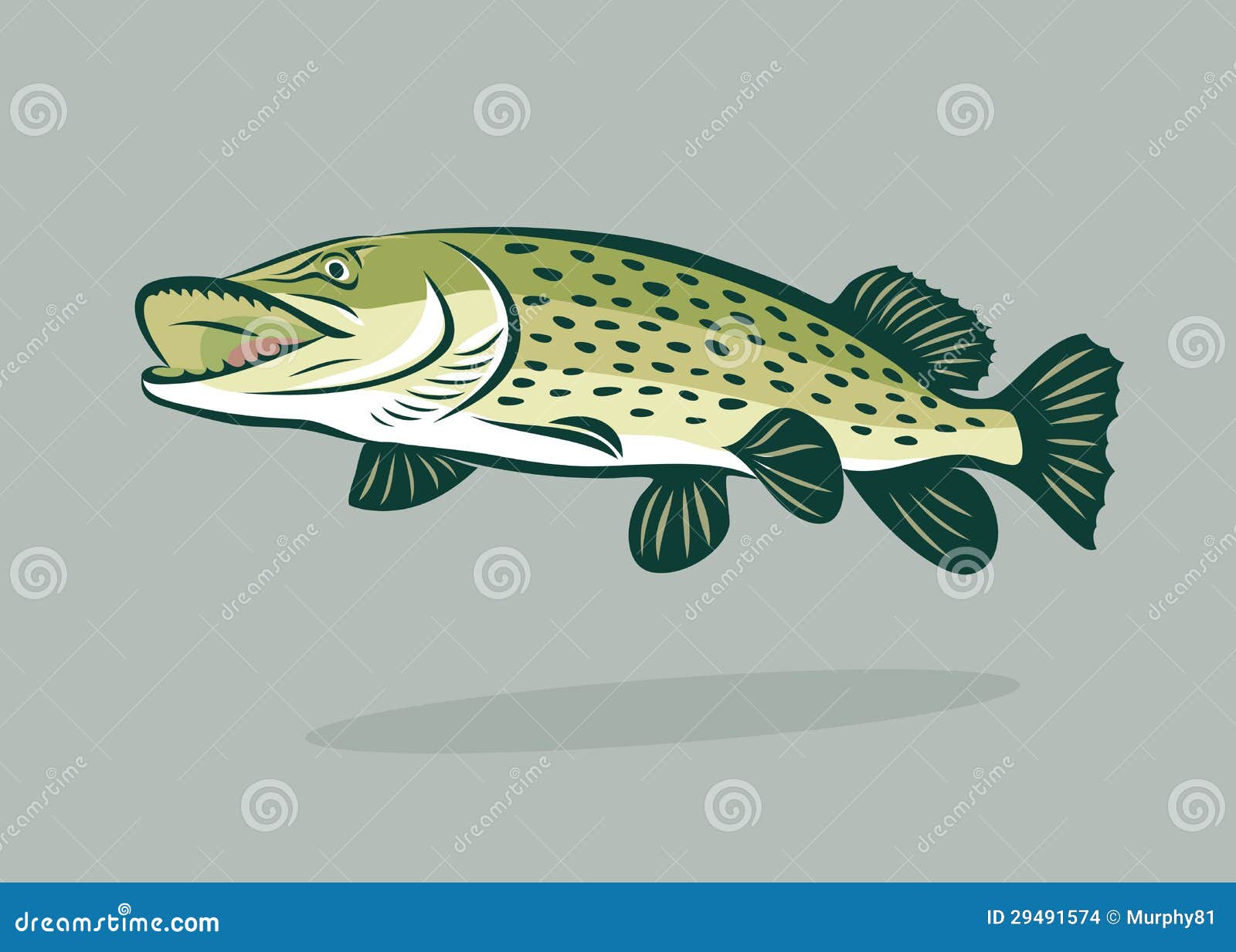 Рыба щука вектор