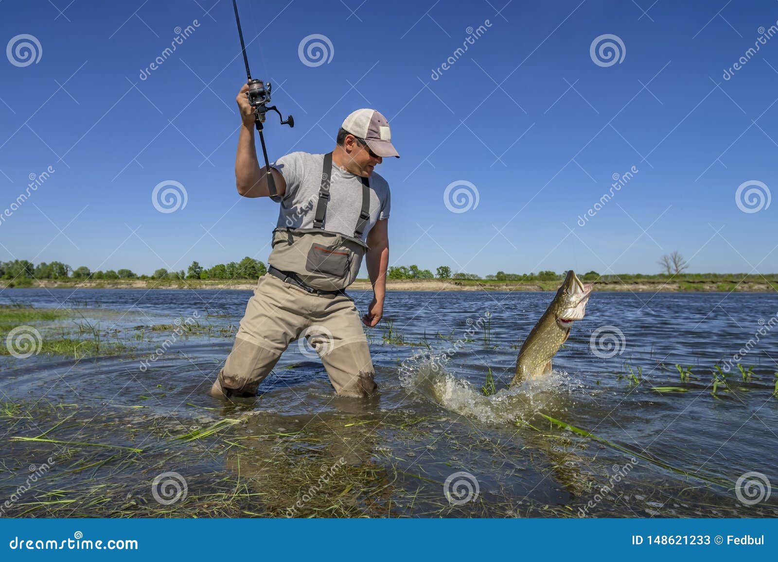 13,721 Pike Fishing Stock Photos - Free & Royalty-Free Stock Photos from  Dreamstime