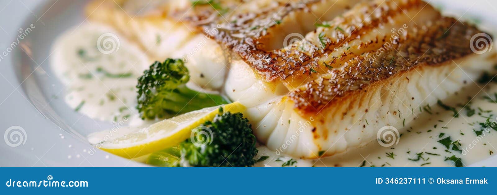 pike perch or zander fillet in cream sauce with broccoli, fried sander fish, pike meat with lemon