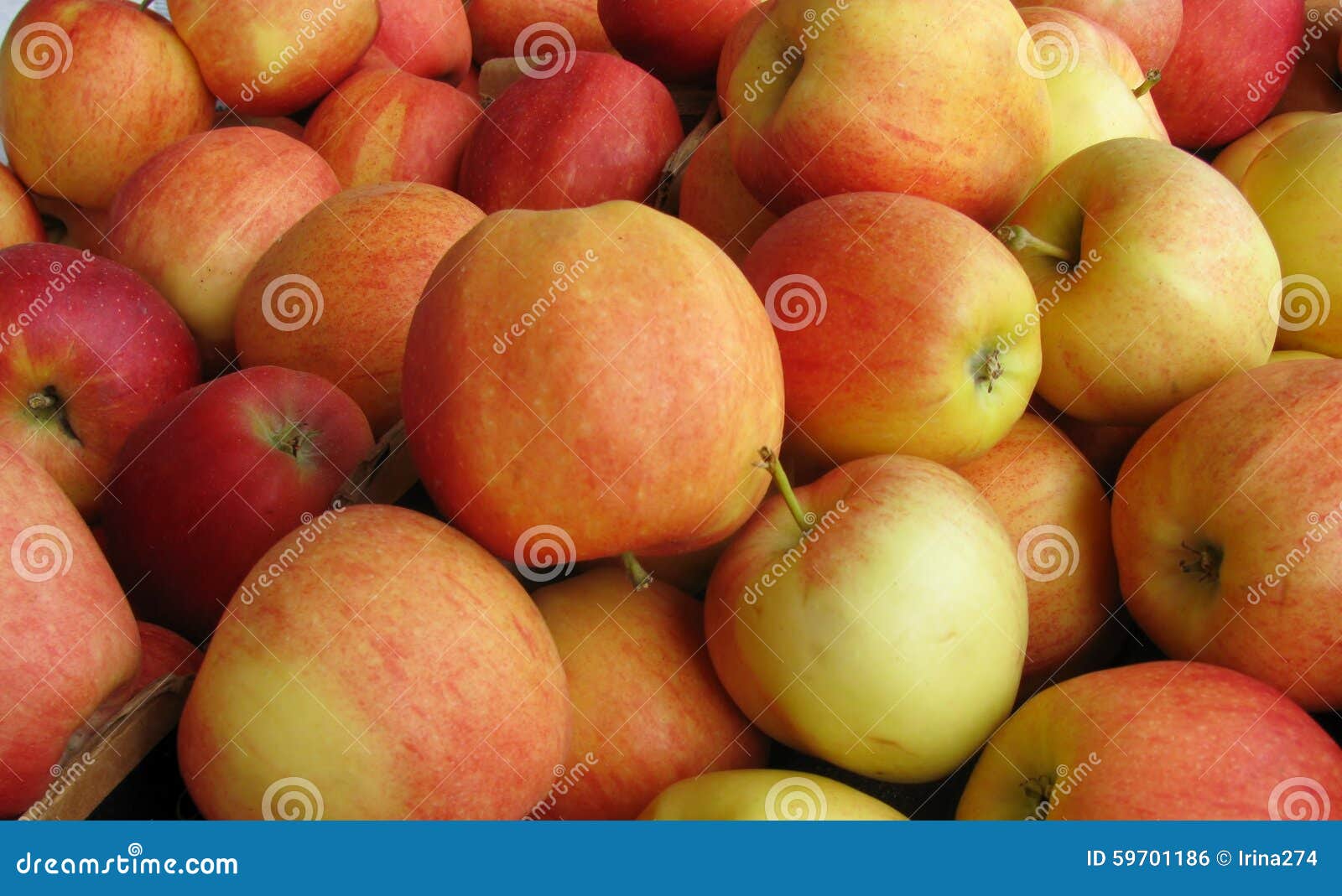 Pile of Apples in a Market Stall Stock Photo Image of gala, water