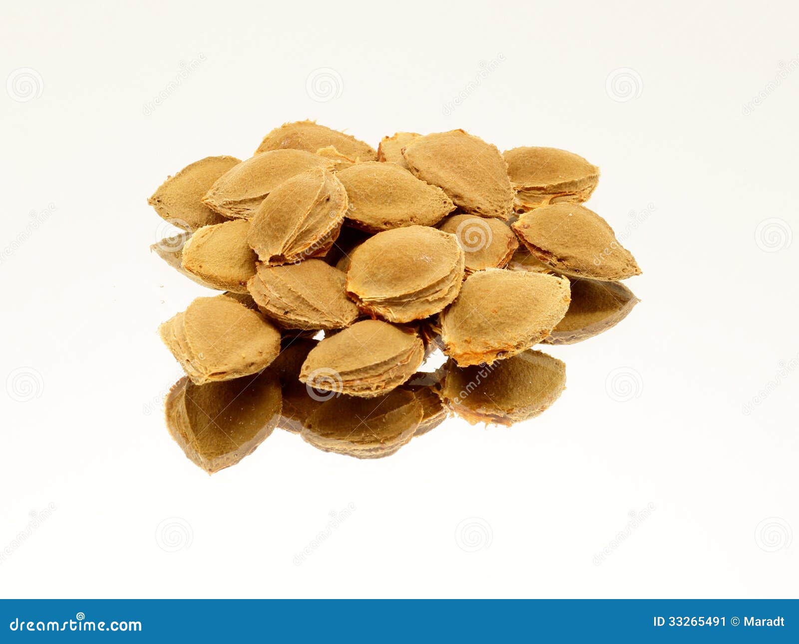 Pile of apricot seeds stock image. Image of background 33265491