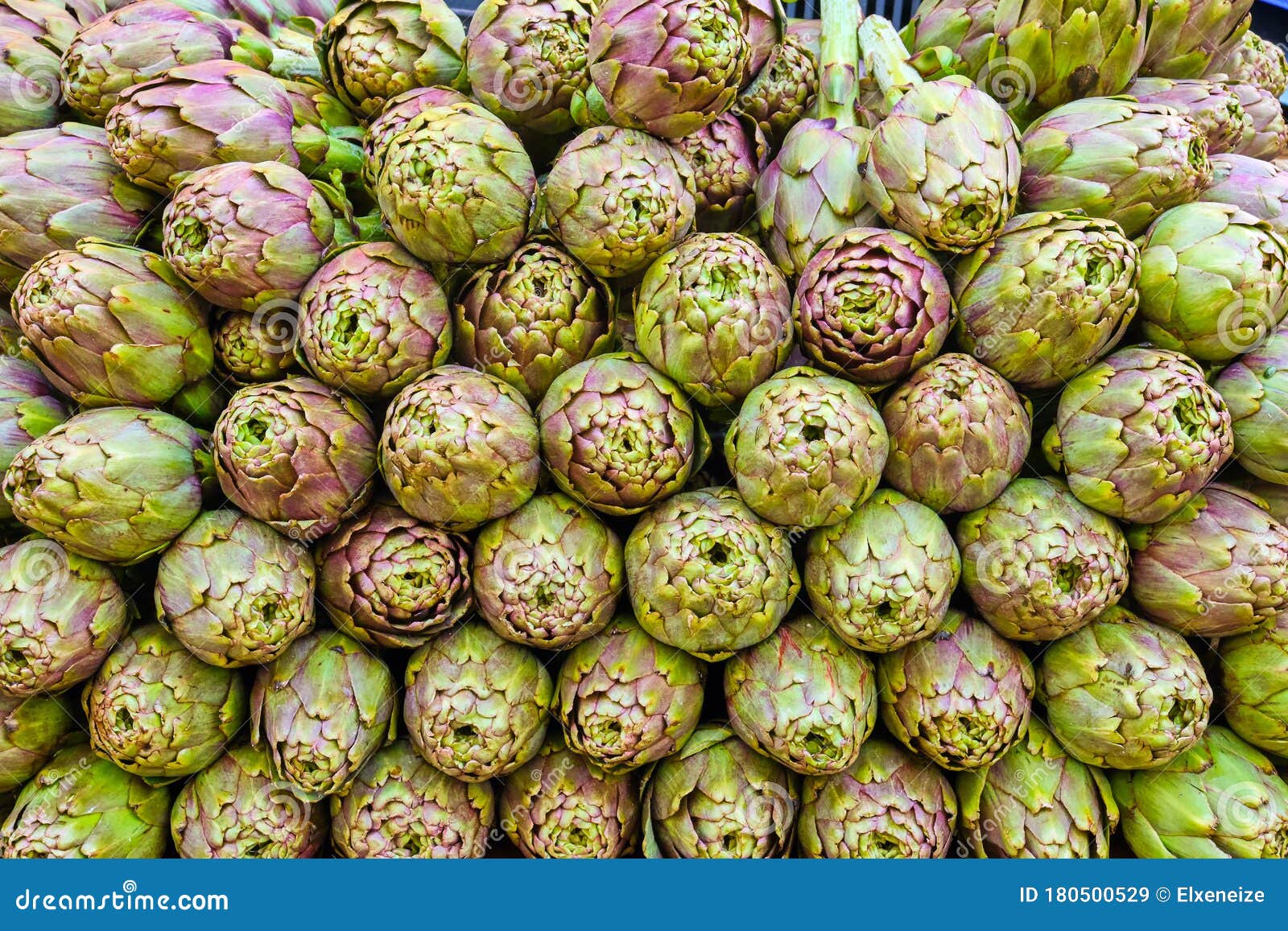 Pile of Artichokes for Sale Stock Image Image of food, garden 180500529
