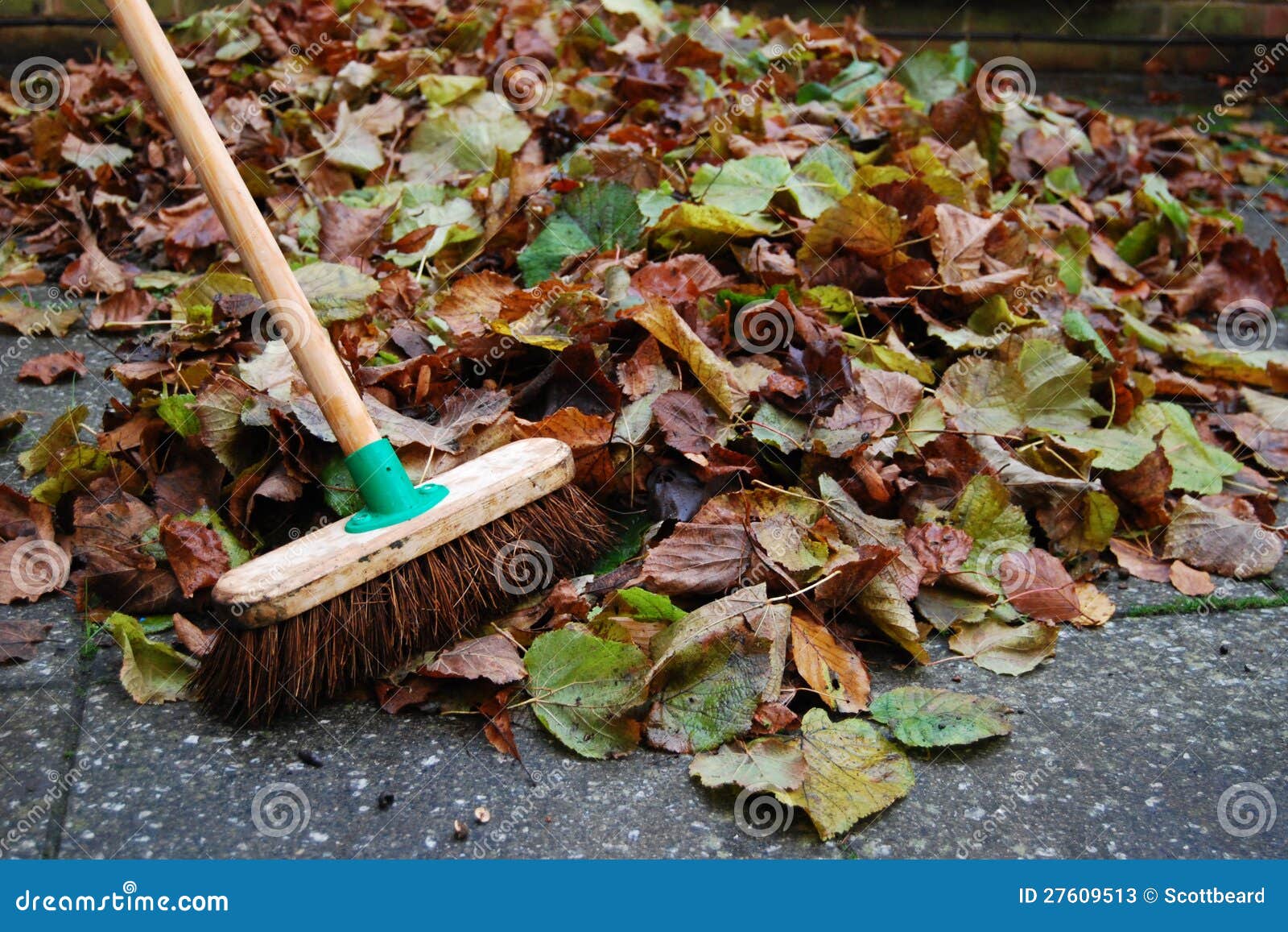 Pile of Autumn Leaves on Backyard Patio with Broom Stock Image Image