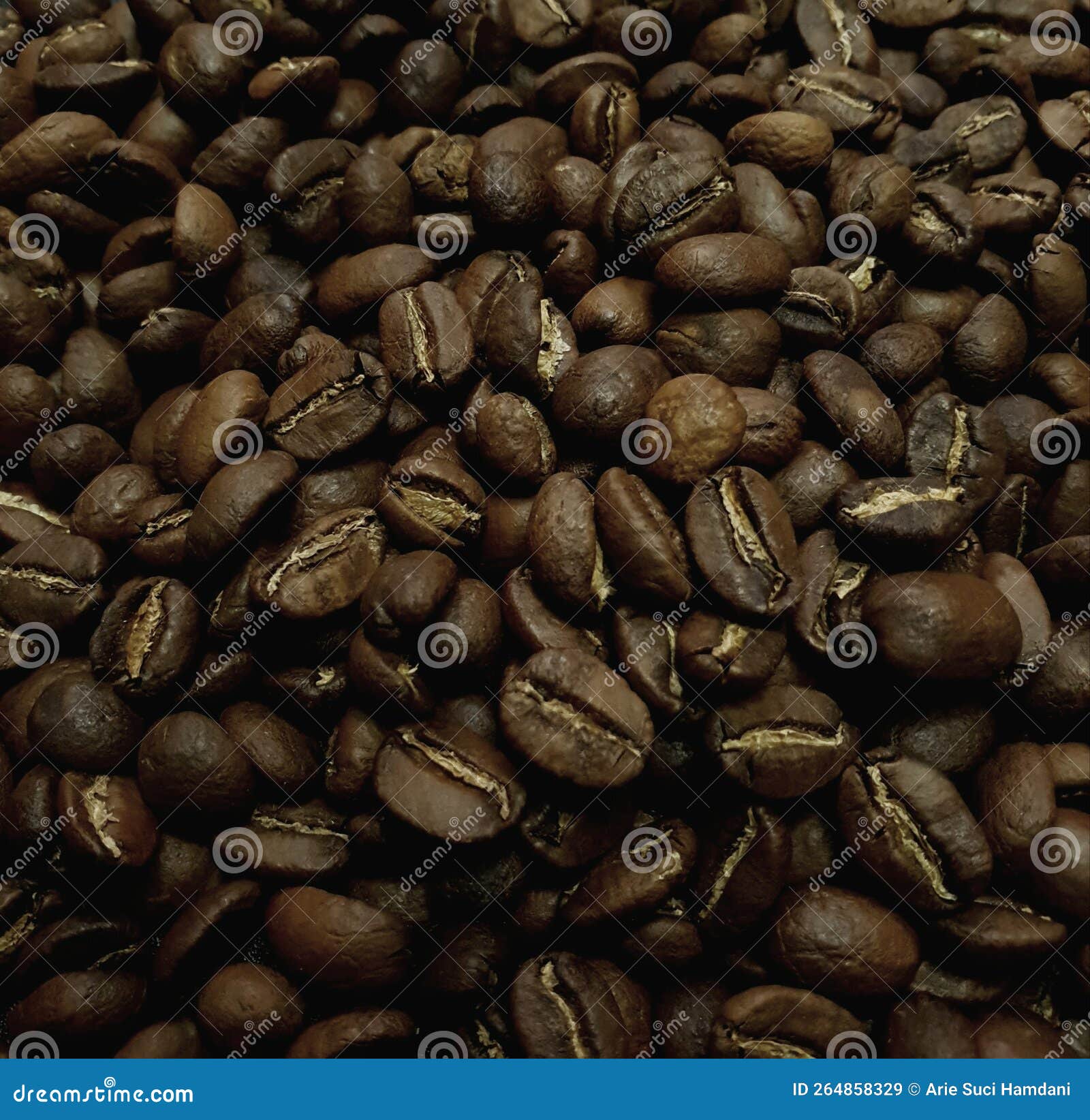 Pile of Bali Kintamani Coffee Beans Stock Image Image of vegetable