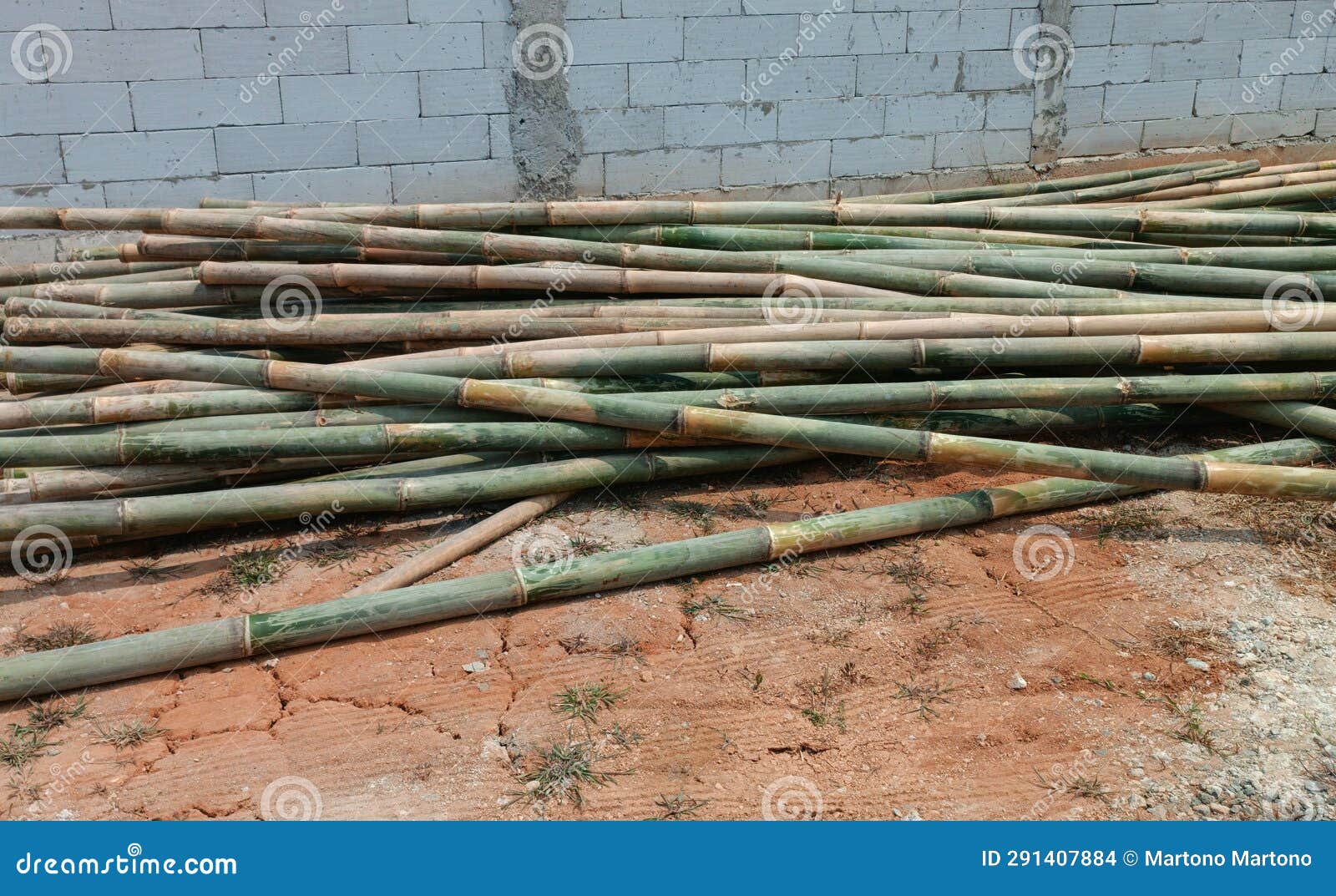 pile of bamboo on the ground in the yard