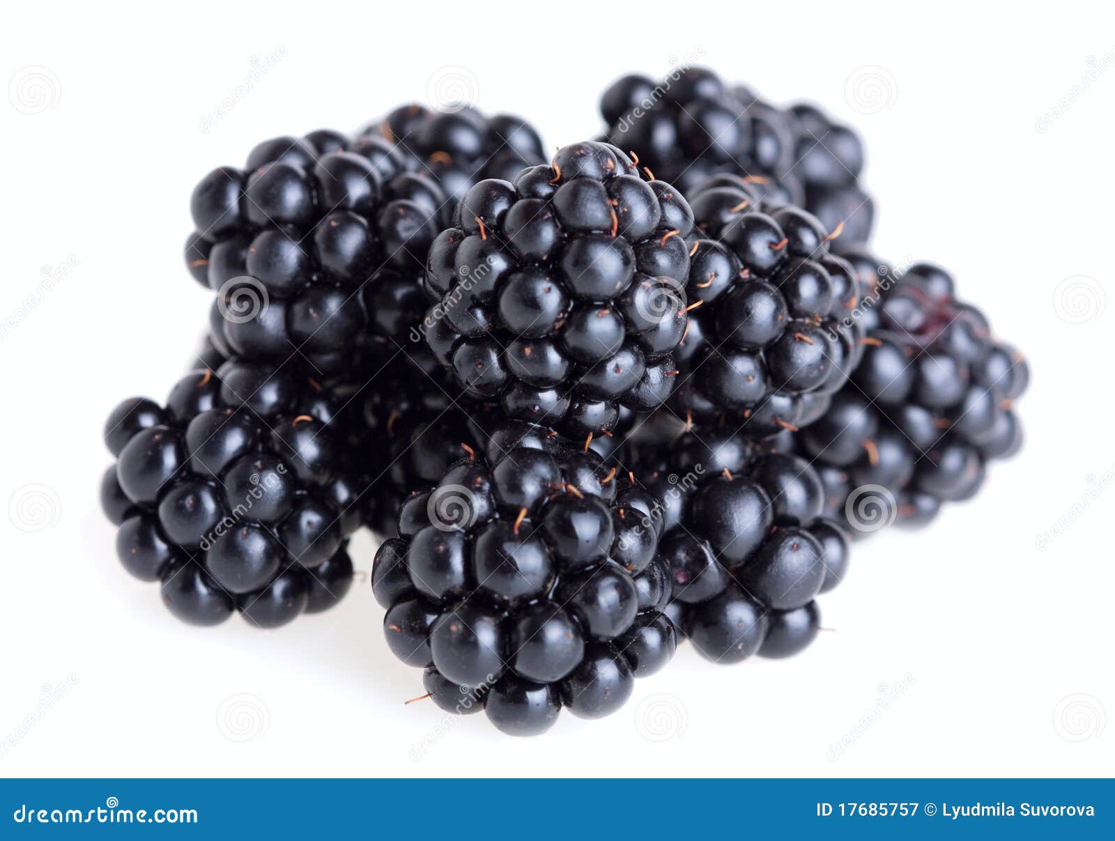Pile of blackberries stock image. Image of organic, healthy - 17685757