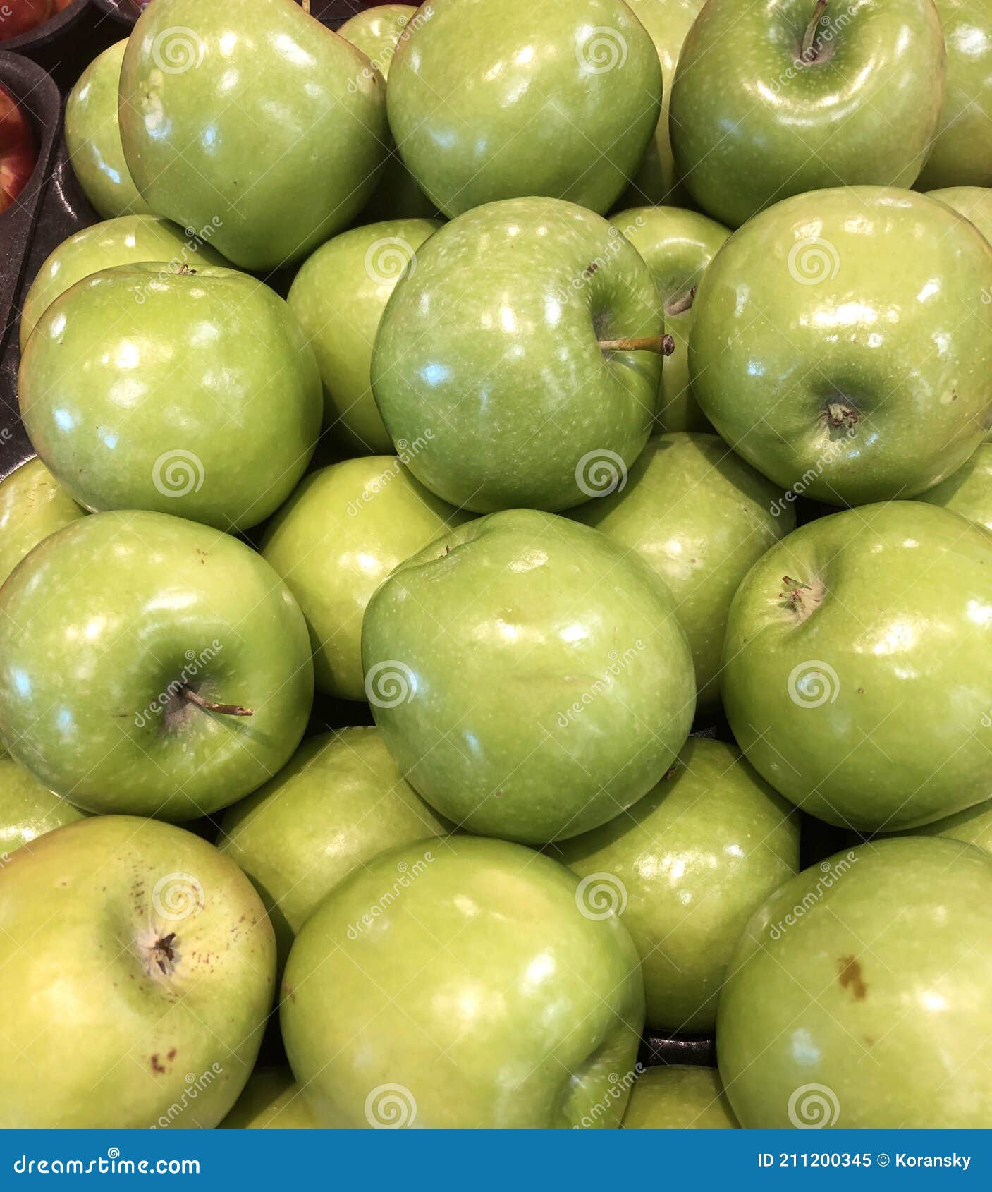 Juicy Granny Smith Apples Fresh From The Harvest Stock Image Image Of Juicy Granny Smith Apples Fresh From The Harvest Stock Image Image Of