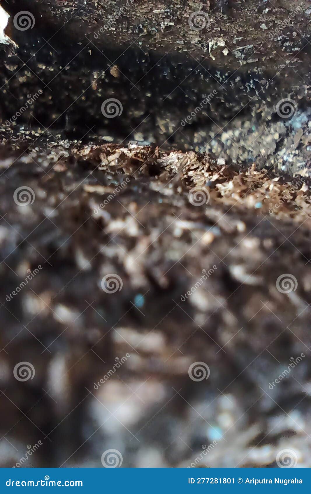 A Pile of Brittle Sawdust Eaten by Termites Stock Image Image of