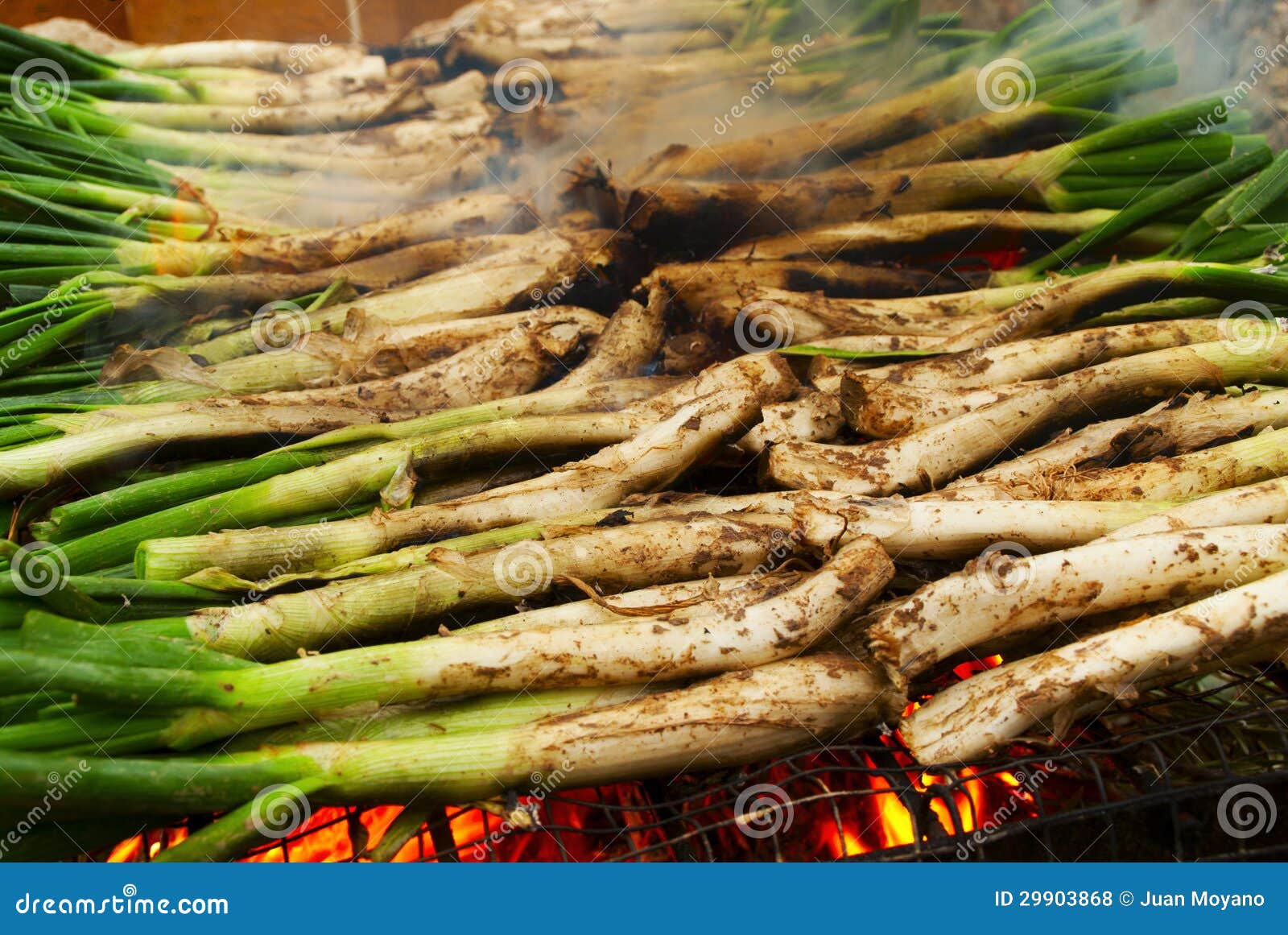 calcots, catalan sweet onions