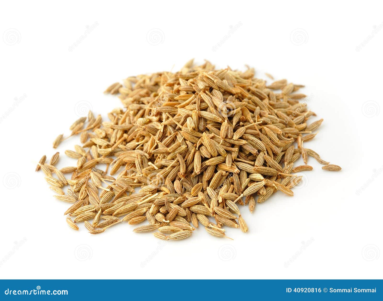 Pile of Caraway Seeds stock photo. Image of indian, food 40920816