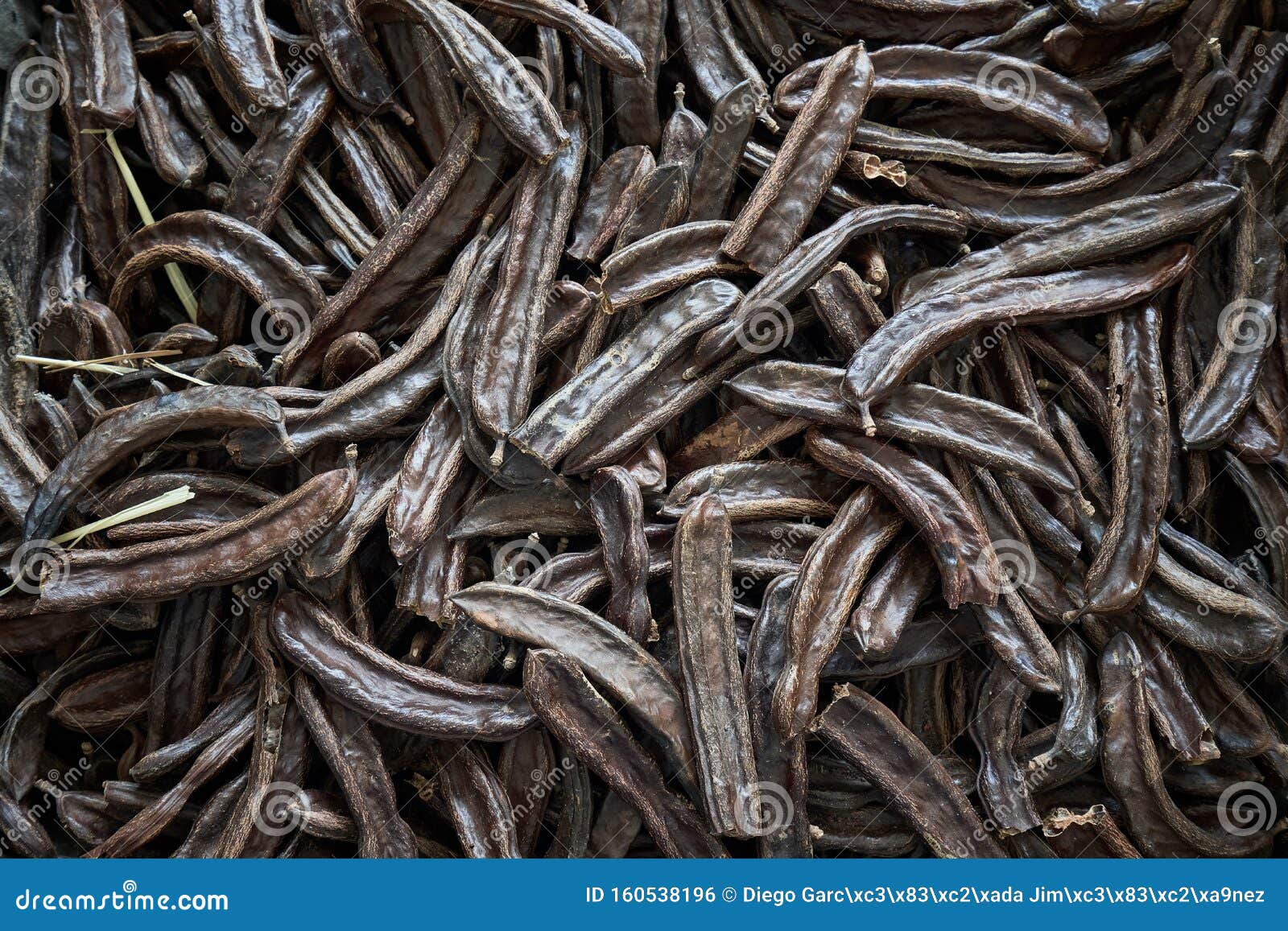 Pile of carob beans stock photo. Image of siliqua, background 160538196