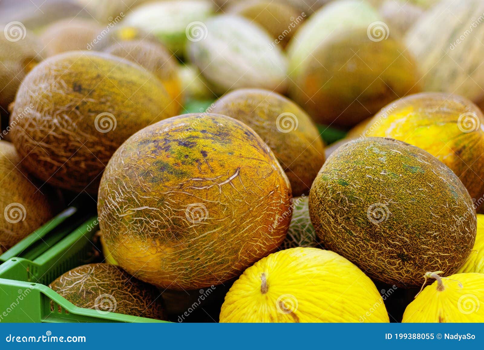 Pile of Different Melons for Sale in Grocery Store Stock Image Image