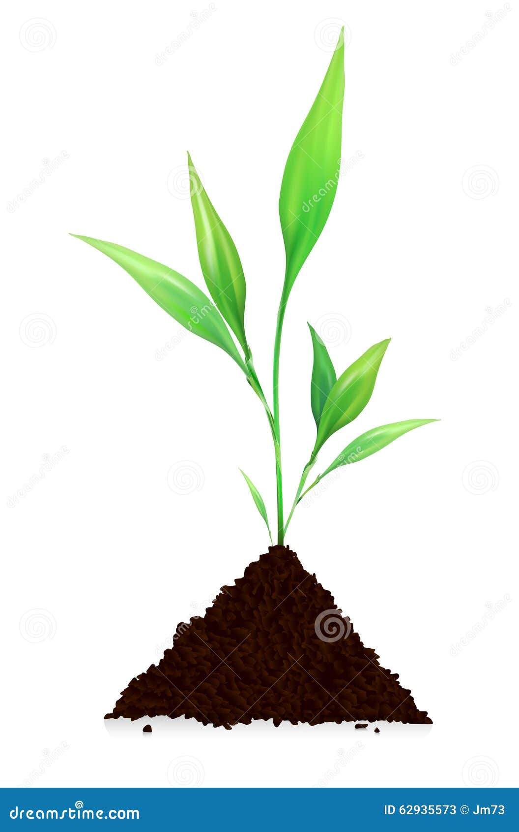 Pile of Dirt and Growing Plant Stock Vector Illustration of live