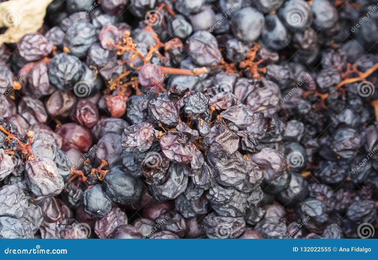 Pile of Discarded Rotten Grapes. Concept of Spoiled Harvest with Copy ...