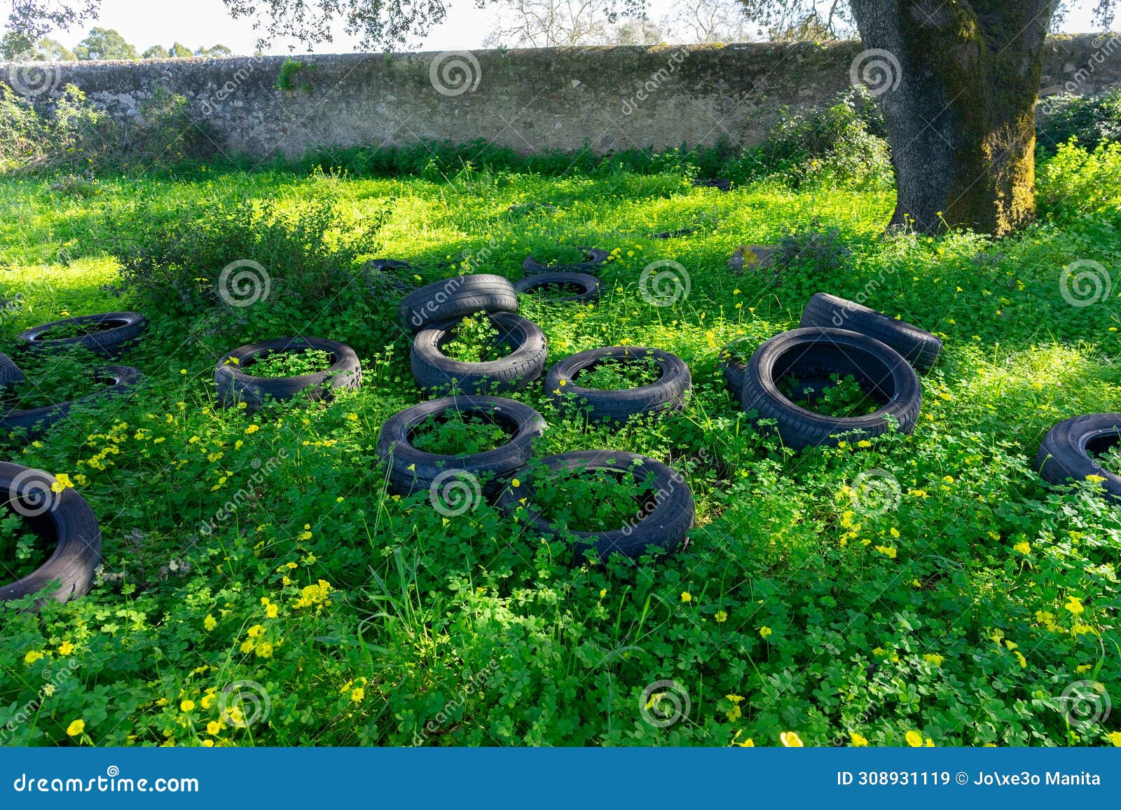 Pile of Discarded Tires in the Field, Polluting the Environment. Stock
