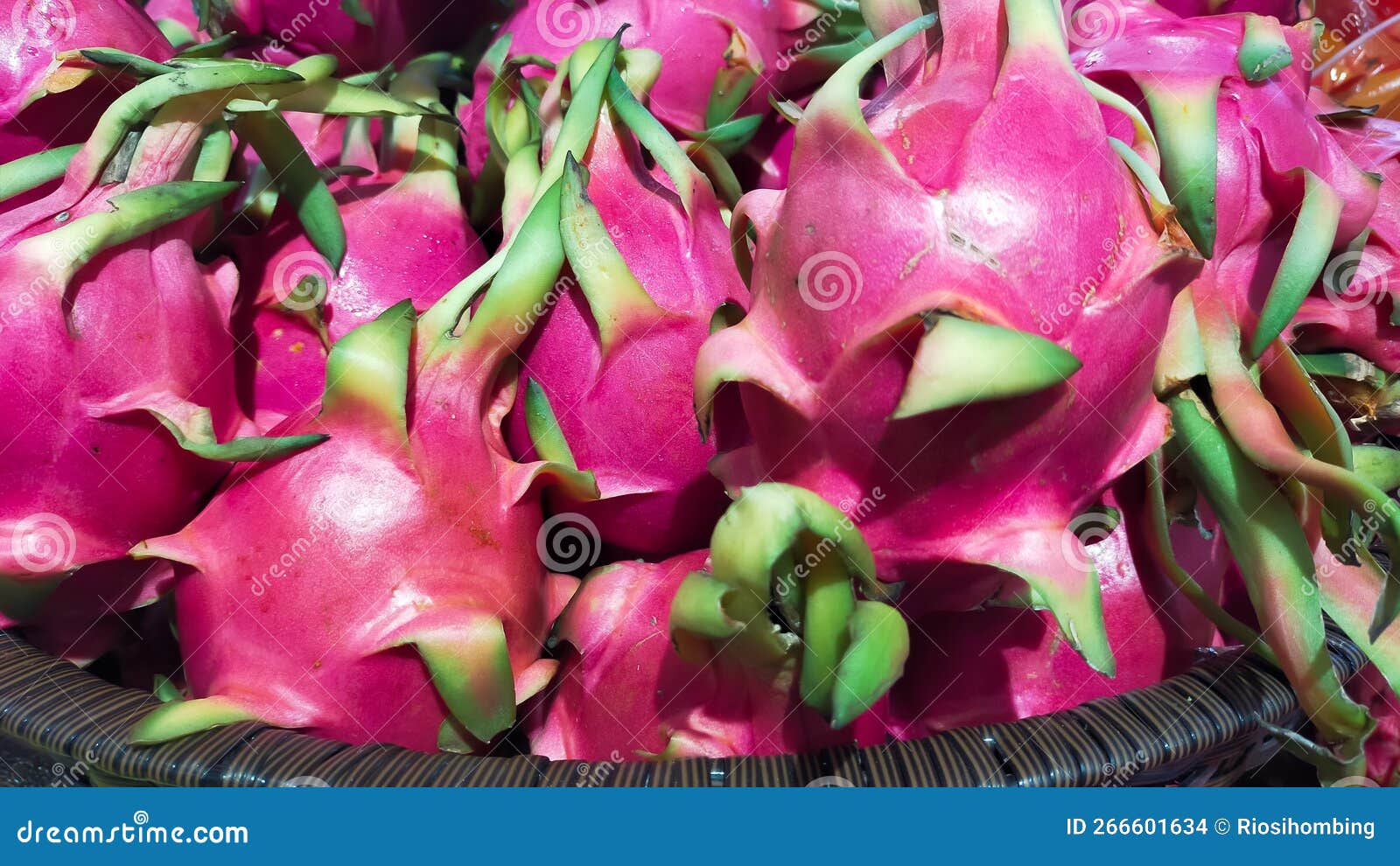 Pile of Dragon Fruit for Sale at the Market Stock Photo Image of food