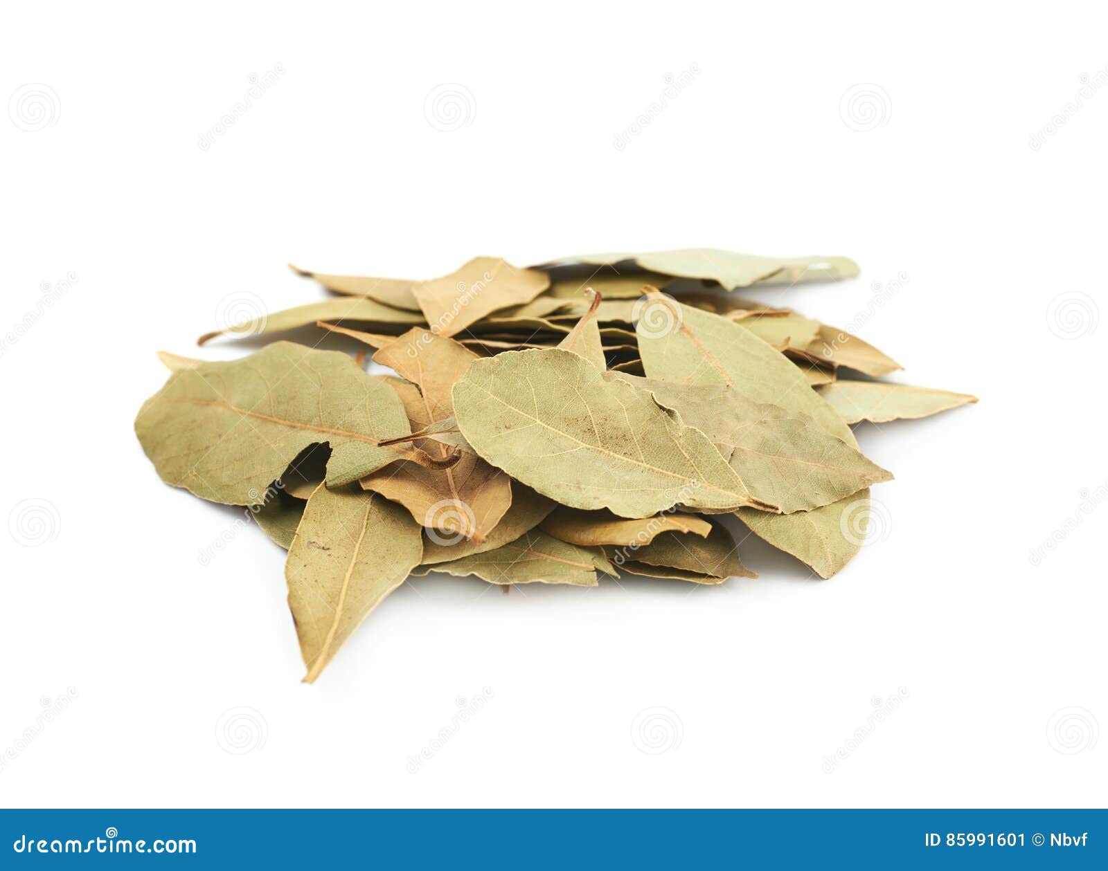 Pile of Dried Bay Leaves Isolated Stock Image Image of laurel