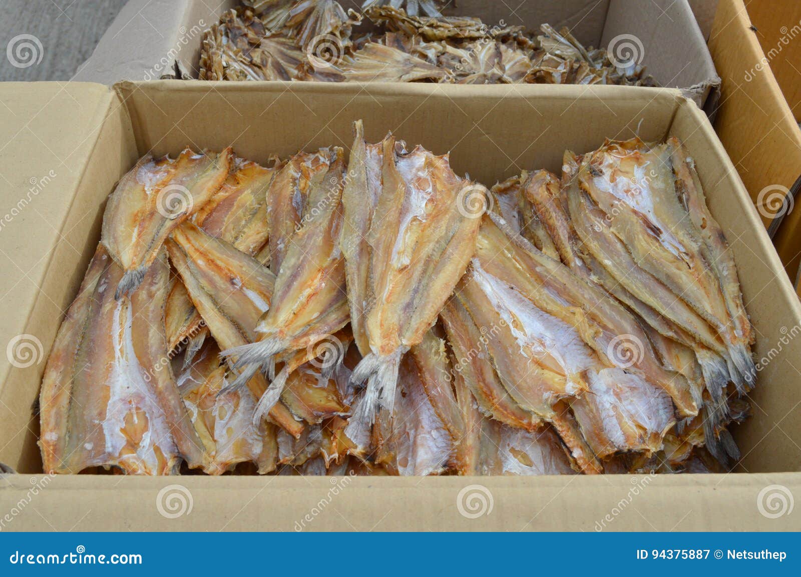 Pile of Dried Seafood in Packed Paper Box Stock Image Image of