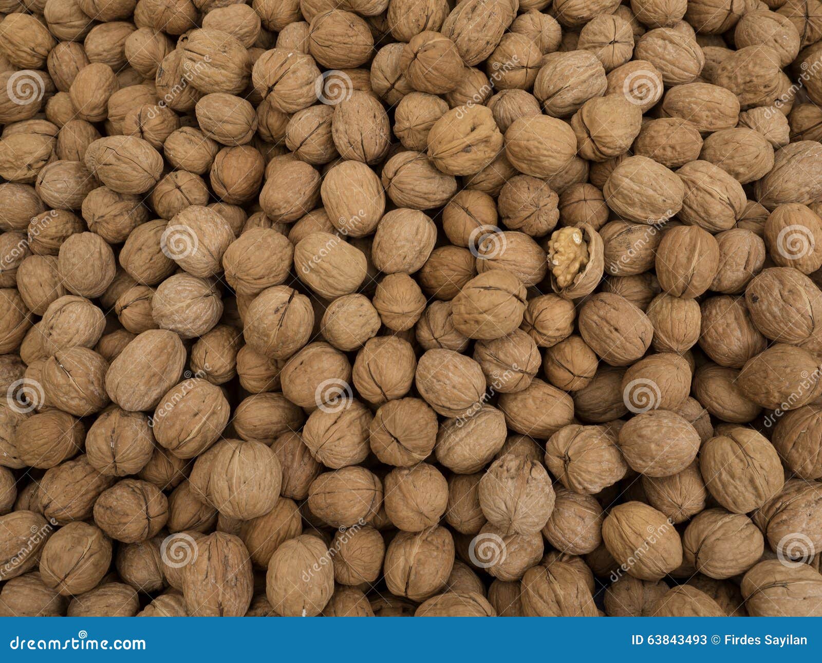 Pile of dried walnuts stock image. Image of healthy, agricultural 63843493