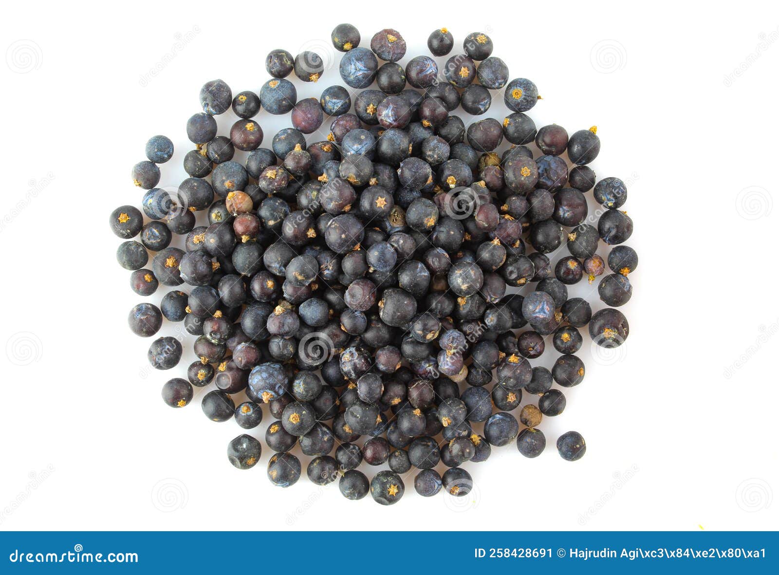 Pile of Dry Juniper Fruit Seeds Isolated on White Backgorund. Aromatic