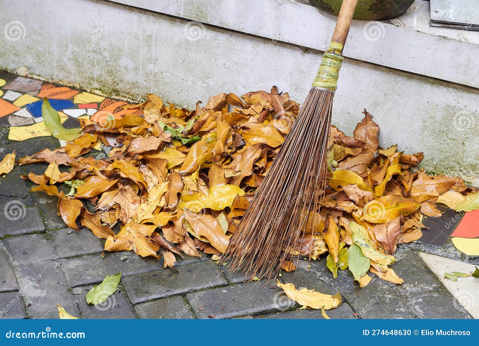 Pile of Dry Leaves Swept Up with a Broom Stock Photo Image of leaf