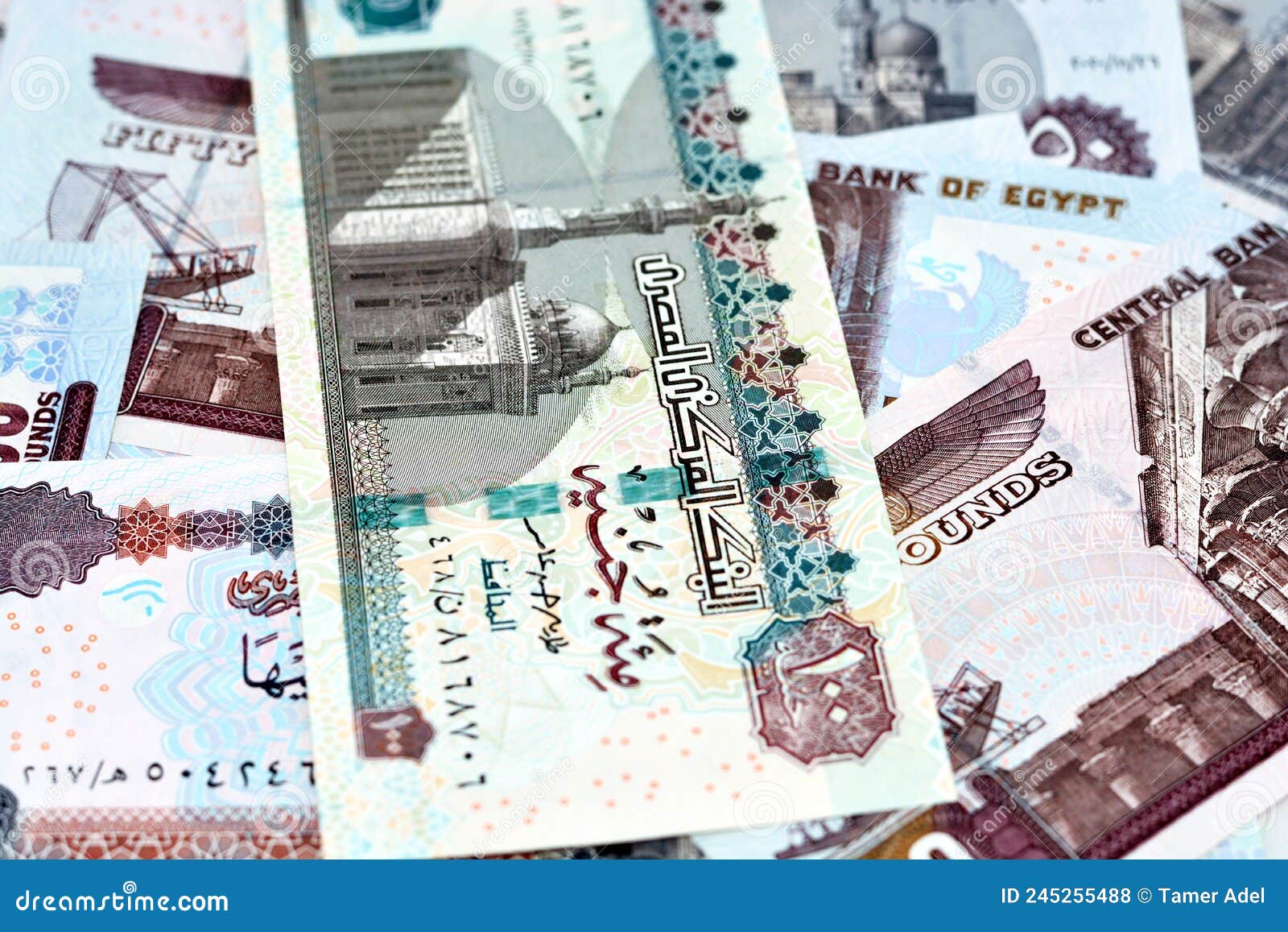 pile of egyptian money banknotes of 100 le, 50 le, selective focus of a stack of one hundred egyptian pounds and fifty pounds