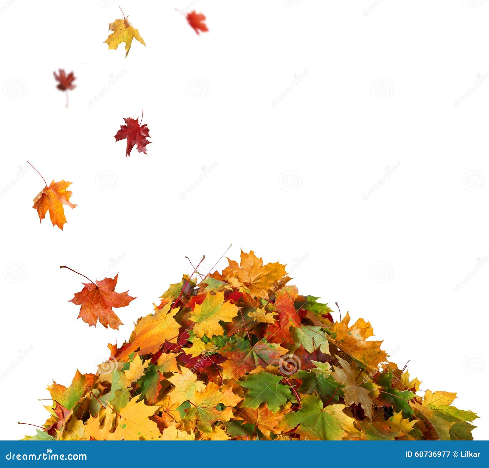 Pile of Fall Leaves stock image. Image of foliage, clean ...