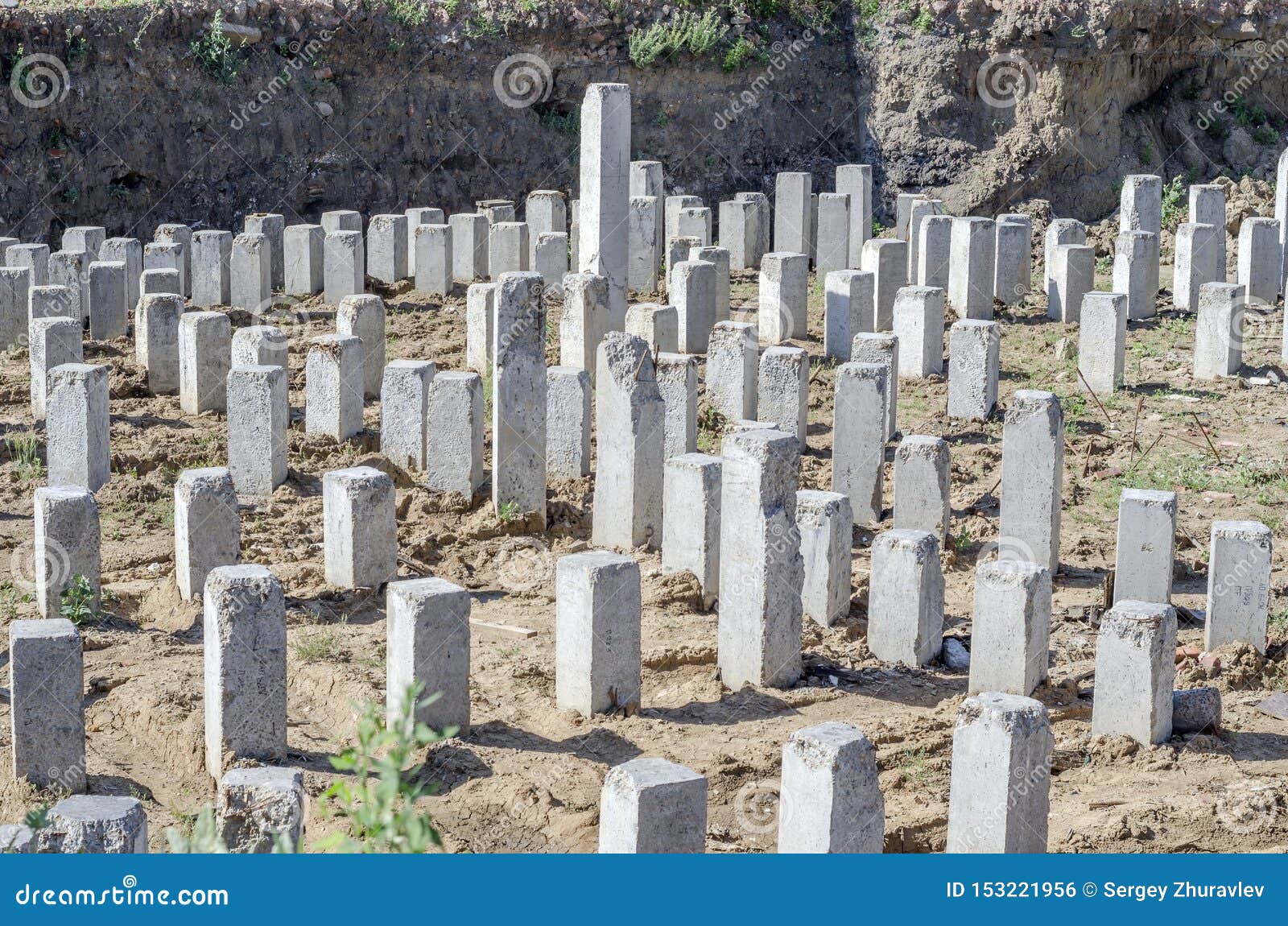 Pile Field for the Foundation in the Pit Editorial Photo Image of