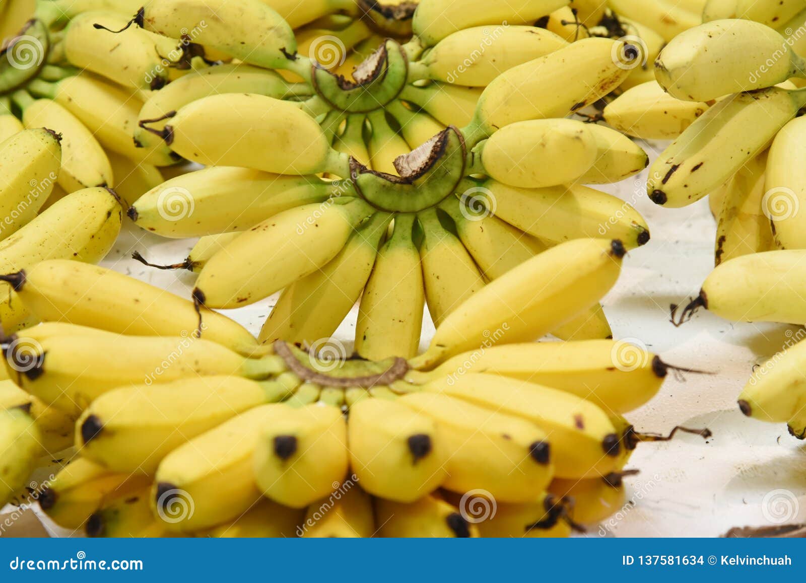 Pile of fresh bananas stock photo. Image of plantation 137581634