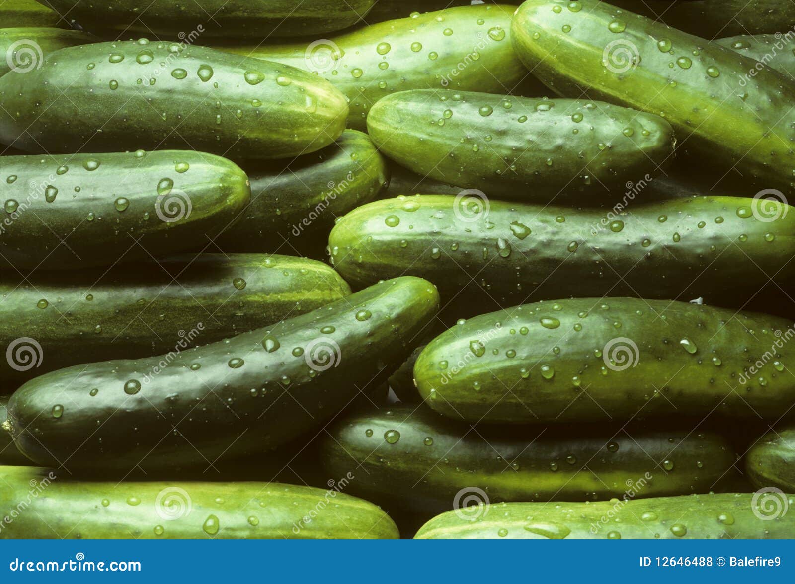 a pile of fresh cucumbers