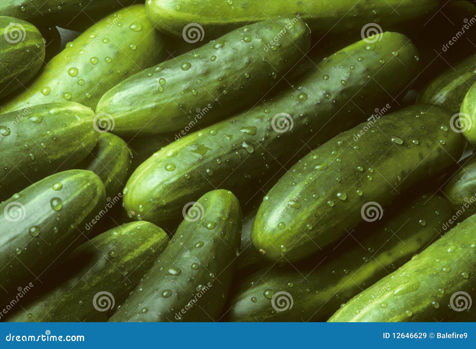 pile of fresh cucumbers lying diagonally