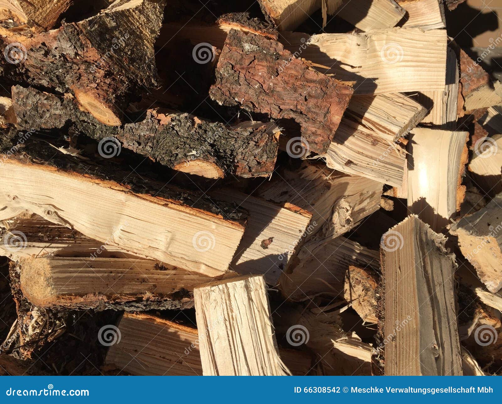 Pile of fresh cut wood stock photo. Image of fire, pile 66308542