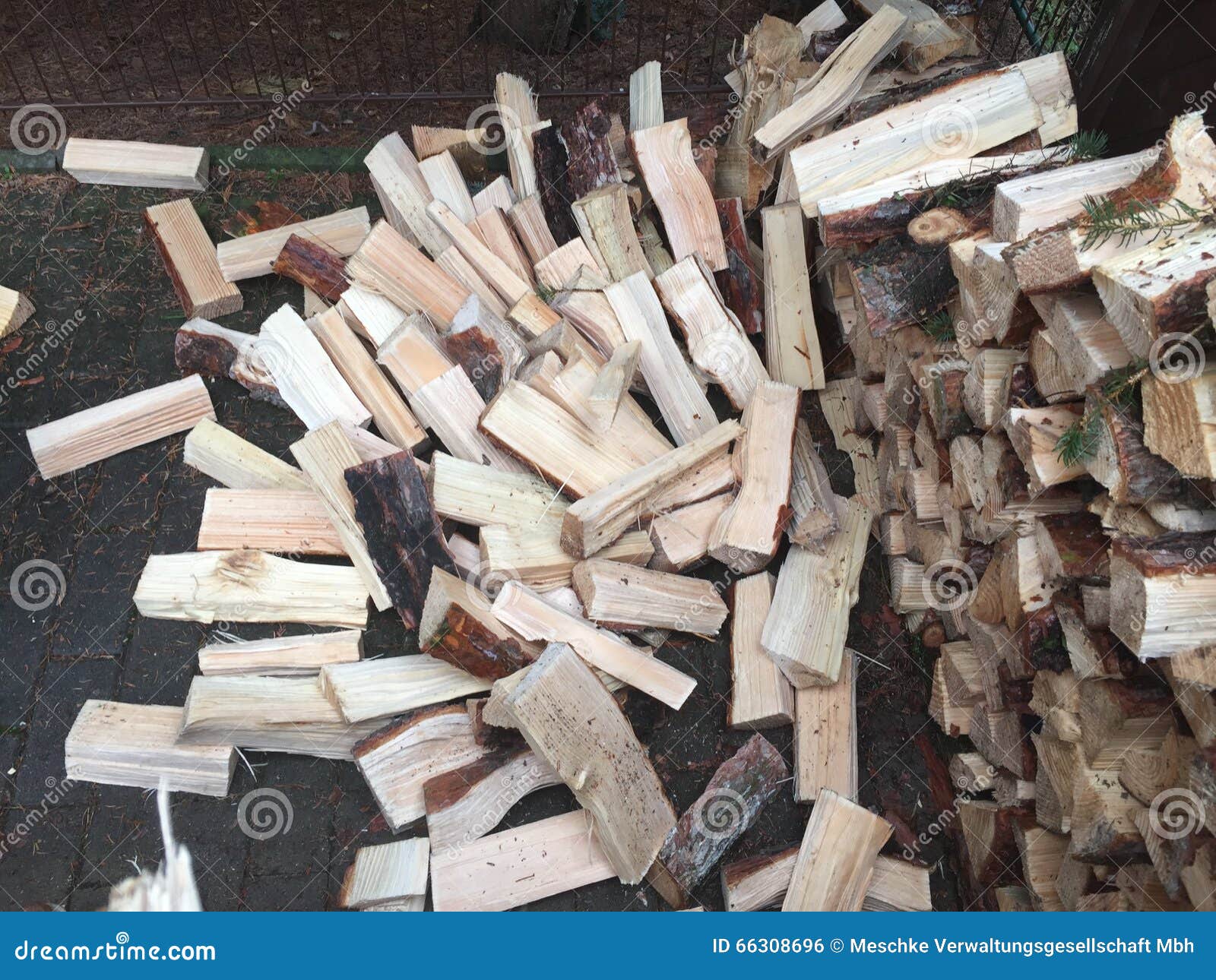 Pile of fresh cut wood stock photo. Image of piece, plants 66308696