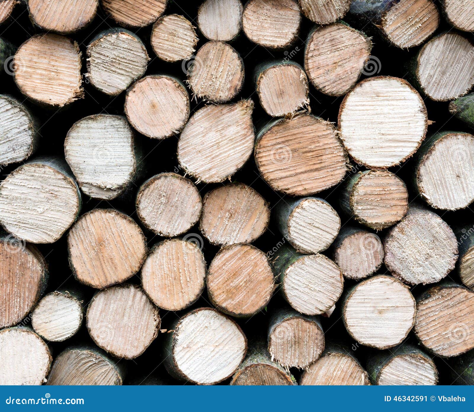 Pile Of Fresh Cut Wood Logs Stock Photo Image 46342591