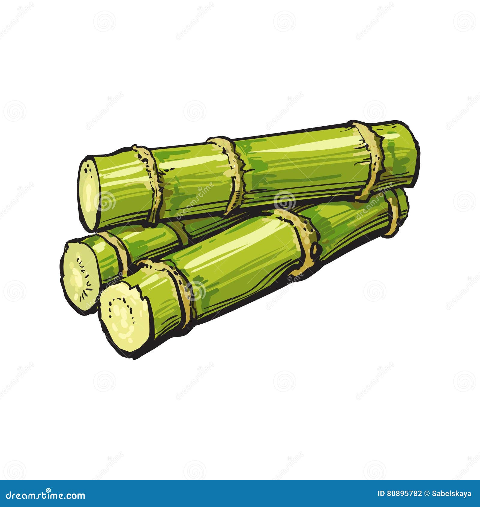 Pile of Fresh Raw Green Sugar Cane Stock Vector - Illustration of industry,  grass: 80895782