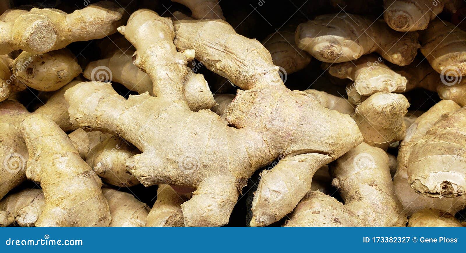 A Pile of Fresh Raw, Loose Bulk Ginger Root Stock Image Image of