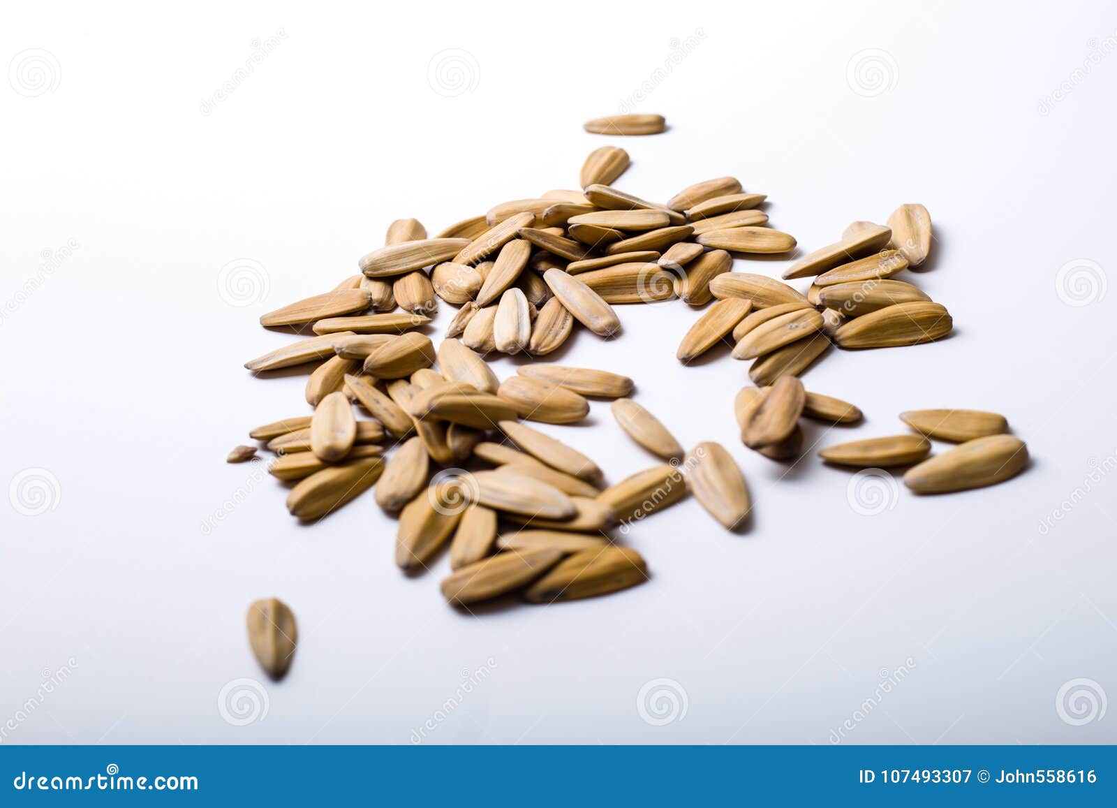 Melon seeds stock image. Image of life, food, cultivated 107493307